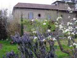 Agriturismo Borgo Il Ducato - lazio