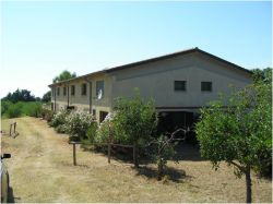 Azienda Agricola Il Nazareno - toscana