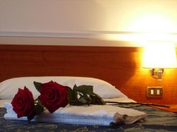 Bed and Breakfast GERBERA ROMA - lazio