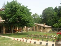 Agriturismo Marroneto - toscana