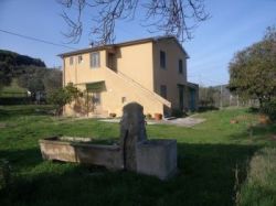 Casa Vacanze Podere il Pino - toscana