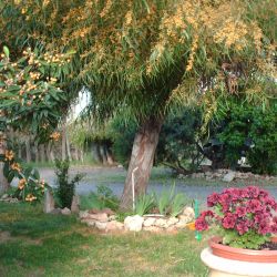 B&B S'UNGRONI RESORT - sardegna