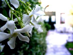 Bed & Breakfast VaGi&ugrave;L&igrave; - veneto