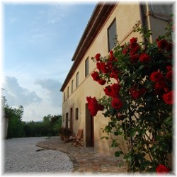 Locanda Nemorosa - marche