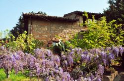 La Casa sulla Collina d'Oro - sicilia