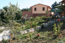 fattoria agrituristica La Collina delle Streghe - marche