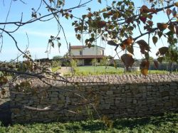 Casa di Elena - calabria