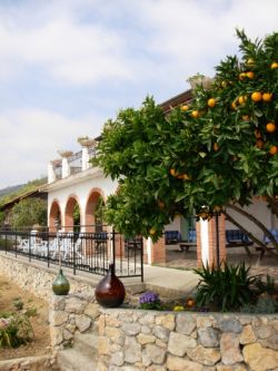 Fattoria Cristina - liguria