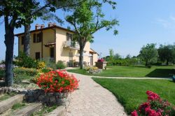 Agriturismo IL POGGETTO - toscana