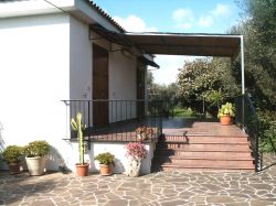 B&B Residence degli olivi - puglia