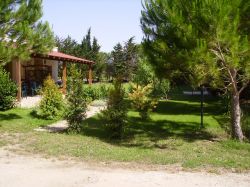 il corbezzolo - puglia