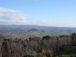 Bilicale in campagna a montescudaio - toscana