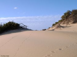 b&b rio castangias - sardegna