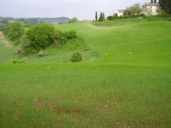 Agriturismo La ginestra - toscana