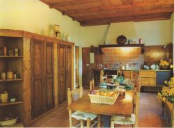 Poggio Gaio - toscana