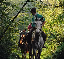 Agriturismo le sorgive e le volpi - lombardia