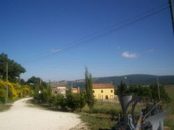 Agriturismo - B&B Ziamelia - marche